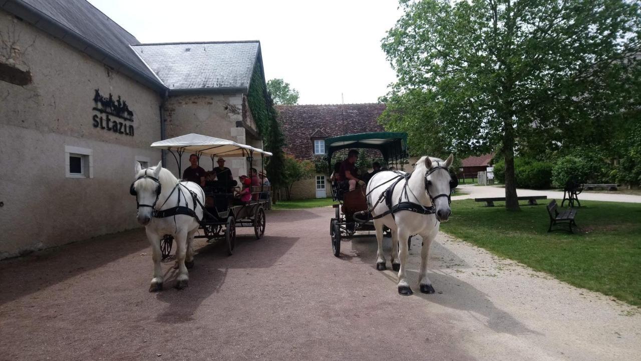 Le Village de Cottages - Le Pôle du Cheval et de l'Âne Lignières Exterior foto